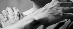 http://upforme.ru/uploads/001a/fe/db/13/888612.gif