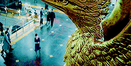 http://upforme.ru/uploads/001a/fe/db/2/t820425.gif