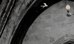http://upforme.ru/uploads/001a/fe/db/21/t774472.gif