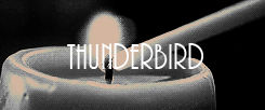 http://upforme.ru/uploads/001a/fe/db/21/t815843.gif