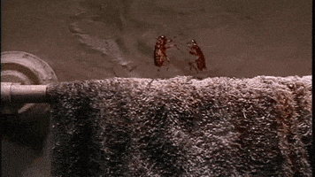 http://upforme.ru/uploads/001a/ff/eb/5/249812.gif