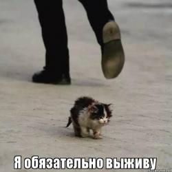 http://upforme.ru/uploads/001a/ff/eb/5/522621.jpg