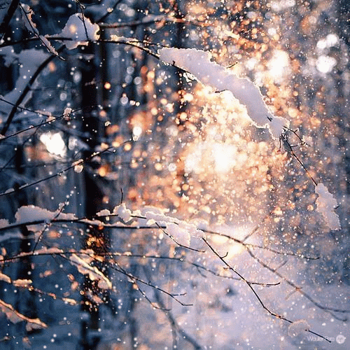 http://upforme.ru/uploads/001b/02/19/2/561343.gif