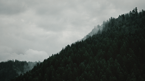 http://upforme.ru/uploads/001b/02/19/2/681191.gif