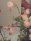 http://upforme.ru/uploads/001b/02/19/33/t413264.gif