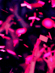 http://upforme.ru/uploads/001b/02/19/33/t502204.gif