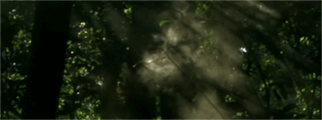 http://upforme.ru/uploads/001b/03/35/16/799393.gif