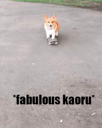 http://upforme.ru/uploads/001b/03/35/24/t142860.gif