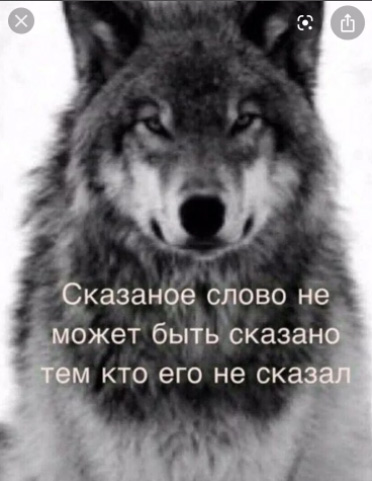 http://upforme.ru/uploads/001b/04/9f/5/281384.jpg
