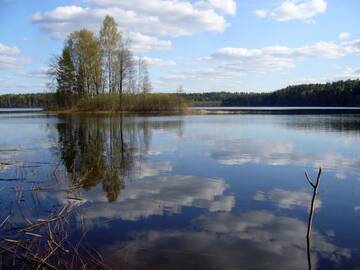 http://upforme.ru/uploads/001b/09/4d/2/t119016.jpg