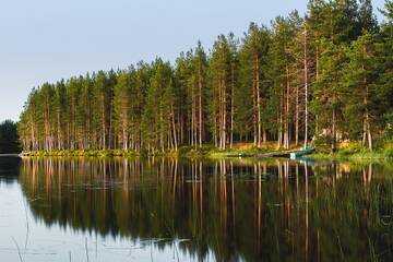 http://upforme.ru/uploads/001b/09/4d/2/t146081.jpg