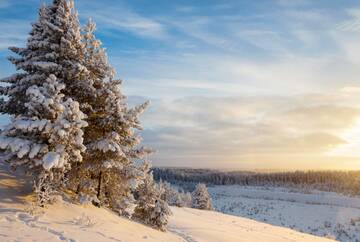 http://upforme.ru/uploads/001b/09/4d/2/t173743.jpg