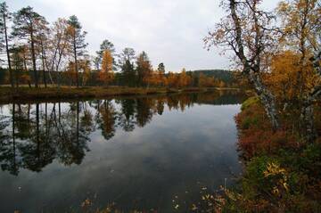 http://upforme.ru/uploads/001b/09/4d/2/t180129.jpg