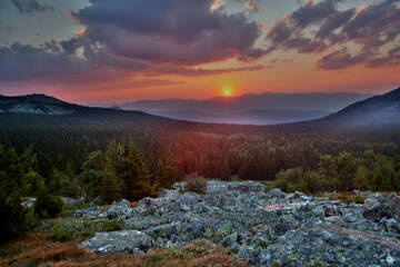 http://upforme.ru/uploads/001b/09/4d/2/t20593.jpg
