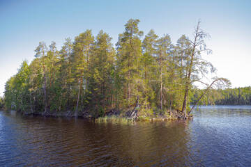 http://upforme.ru/uploads/001b/09/4d/2/t209450.jpg