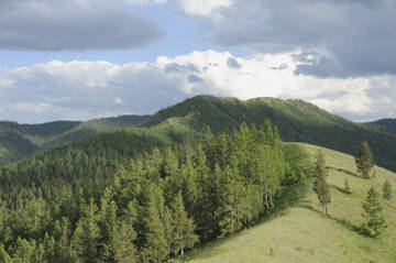 http://upforme.ru/uploads/001b/09/4d/2/t211024.jpg