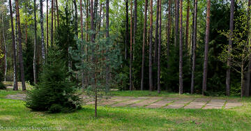 http://upforme.ru/uploads/001b/09/4d/2/t224604.jpg