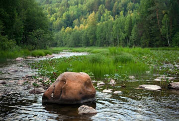 http://upforme.ru/uploads/001b/09/4d/2/t227718.jpg