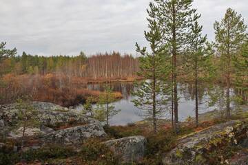 http://upforme.ru/uploads/001b/09/4d/2/t241847.jpg