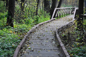 http://upforme.ru/uploads/001b/09/4d/2/t31121.jpg
