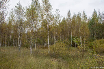http://upforme.ru/uploads/001b/09/4d/2/t324761.jpg