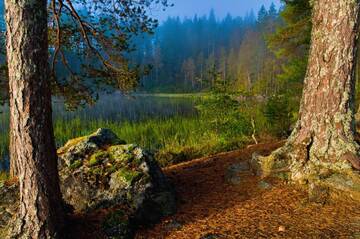 http://upforme.ru/uploads/001b/09/4d/2/t34539.jpg