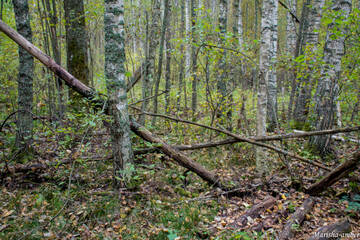 http://upforme.ru/uploads/001b/09/4d/2/t369264.jpg