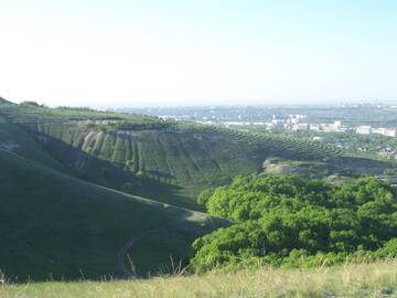 http://upforme.ru/uploads/001b/09/4d/2/t374559.jpg
