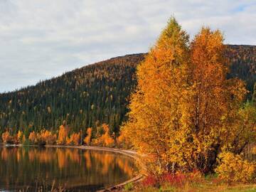 http://upforme.ru/uploads/001b/09/4d/2/t377238.jpg
