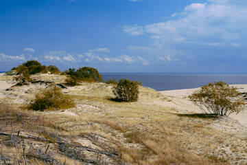 http://upforme.ru/uploads/001b/09/4d/2/t378711.jpg