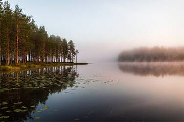http://upforme.ru/uploads/001b/09/4d/2/t410956.jpg