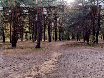 http://upforme.ru/uploads/001b/09/4d/2/t419055.jpg