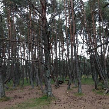 http://upforme.ru/uploads/001b/09/4d/2/t458200.jpg