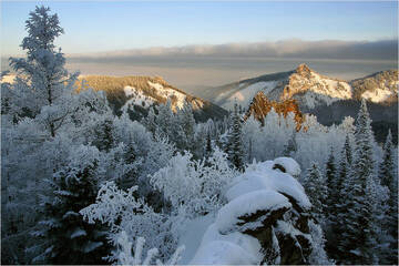http://upforme.ru/uploads/001b/09/4d/2/t460897.jpg