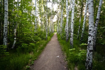 http://upforme.ru/uploads/001b/09/4d/2/t464153.jpg