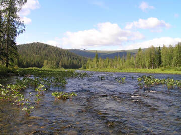 http://upforme.ru/uploads/001b/09/4d/2/t469765.jpg