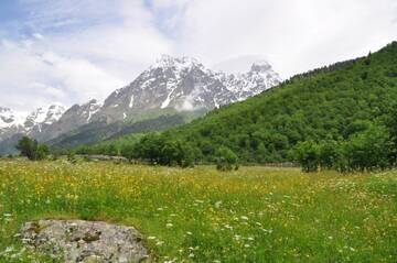 http://upforme.ru/uploads/001b/09/4d/2/t513067.jpg