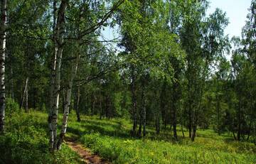 http://upforme.ru/uploads/001b/09/4d/2/t525111.jpg