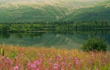 http://upforme.ru/uploads/001b/09/4d/2/t53088.jpg