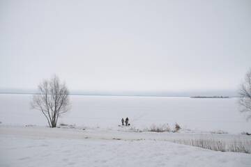 http://upforme.ru/uploads/001b/09/4d/2/t537864.jpg