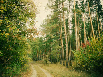 http://upforme.ru/uploads/001b/09/4d/2/t540479.jpg