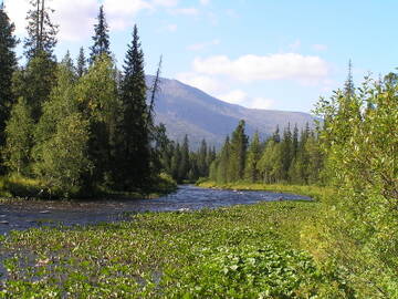 http://upforme.ru/uploads/001b/09/4d/2/t566468.jpg