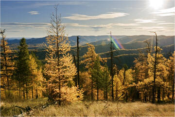 http://upforme.ru/uploads/001b/09/4d/2/t576036.jpg