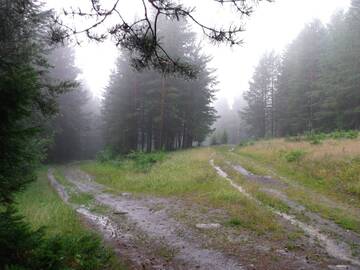 http://upforme.ru/uploads/001b/09/4d/2/t590145.jpg