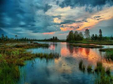 http://upforme.ru/uploads/001b/09/4d/2/t595216.jpg