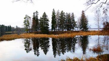 http://upforme.ru/uploads/001b/09/4d/2/t63813.jpg