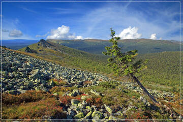http://upforme.ru/uploads/001b/09/4d/2/t640726.jpg