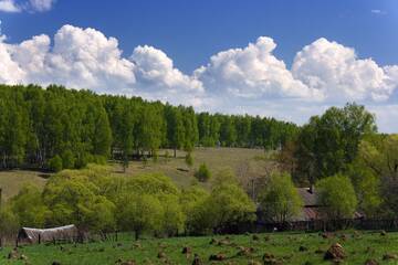 http://upforme.ru/uploads/001b/09/4d/2/t669543.jpg
