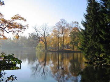 http://upforme.ru/uploads/001b/09/4d/2/t681653.jpg