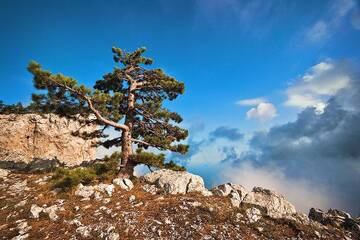 http://upforme.ru/uploads/001b/09/4d/2/t688145.jpg